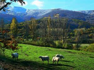 Vía Verde de la Demanda